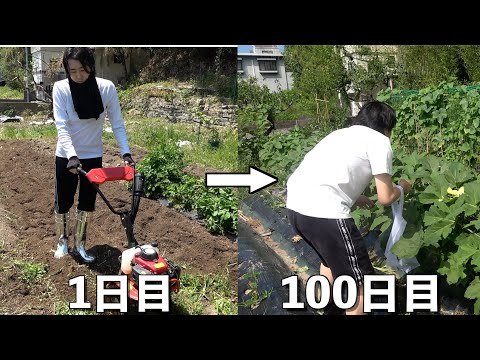 夏野菜をガチで作ってみたら、、！？