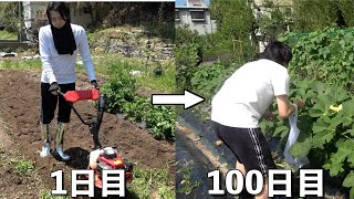 動画サムネイル