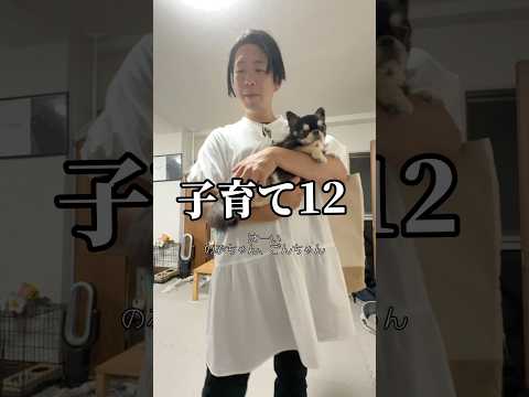 ボタン押したくなるよね😂　#柴犬 #チワワ #コント #shorts サムネイル
