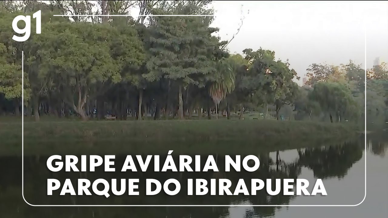 Gripe aviária no Parque do Ibirapuera