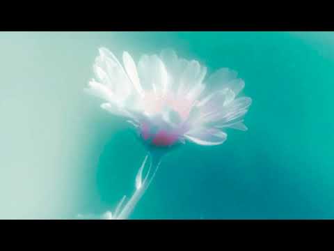 AVAION, oskar med k - Can't Find You (Officia…