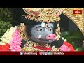 మాంగళ్య సౌభాగ్యం కలగడానికి ఈ స్తోత్రం పఠిస్తే చాలు| Varahi Navaratri Special| Varahi Devi #bhakthitv  - 0 min - News - Video