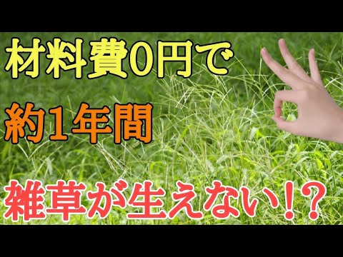 雑草対策｜お金を全くかけずに土や環境にも良い雑草が生えなくなる方法