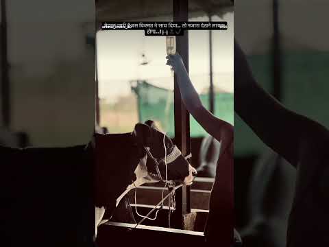 animal tretment !1 animal doctor !1 #animals