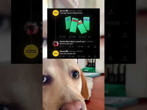 #memes #story #dog #shorts #pets