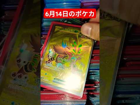 ホビーの動画サムネイル - 6月14日のポケカ #ポケカ #ポケカ再販最新情報 #おれポケ #ポケモンカード #チャンネル登録お願いします #ポケモン #ゆっくり解説 #ポケットモンスター #バズれ #shots