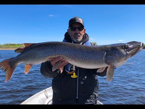 Phenomenal Fly-in Fishing Action at Jackson's Lodge & Outposts - Manitoba Hot Bite