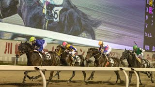 【競馬】第48回 帝王賞　みんなで見よう