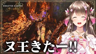歴戦王ヌ・エグドラきたー!「交わりの祭事【夢灯の儀】」を楽しむぞ【モンハンワイルズ アプデ】