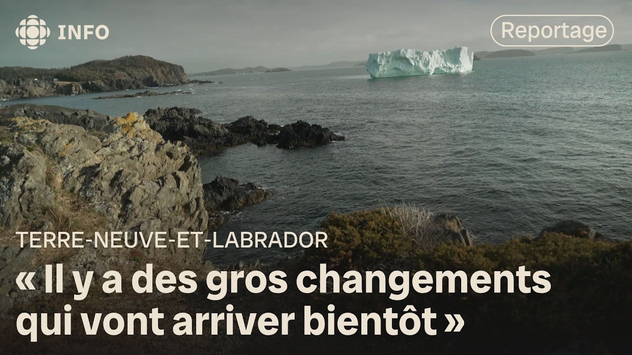 Le réchauffement des océans menacent la biodiversité marine de Terre-Neuve-et-Labrador