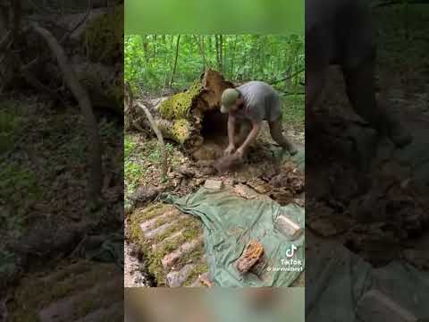 ngày 15 tháng 10, 2025