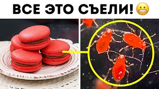 Тайная жизнь обыденных вещей: то, что вы упустили