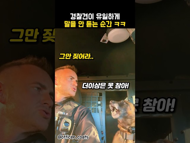 경찰견이 유일하게 말을 안듣는 순간 #동물 #강아지