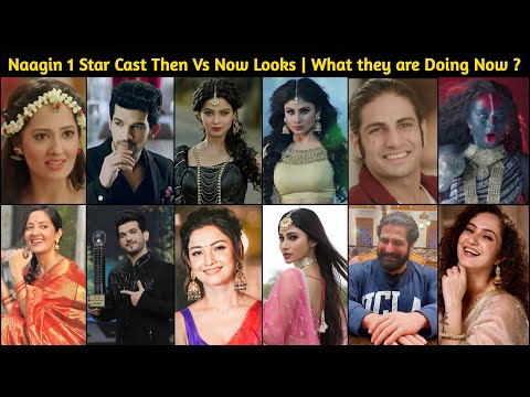 Naagin 1 Star Cast Then and Now Looks | Where They Are Now | Arjun Bijlani and Mouni Roy | Adaa Khan