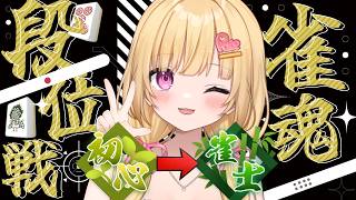 【#雀魂】段位戦！！ランク上がるまでおわれません！！アドバイスください！！！#麻雀【いもいぽて】#新人VTuber #Vtuber