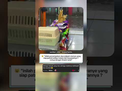 "sekarang jamannya satpam oyen😼"