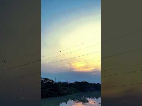 Natural #DreamScreenAI Natural Lover