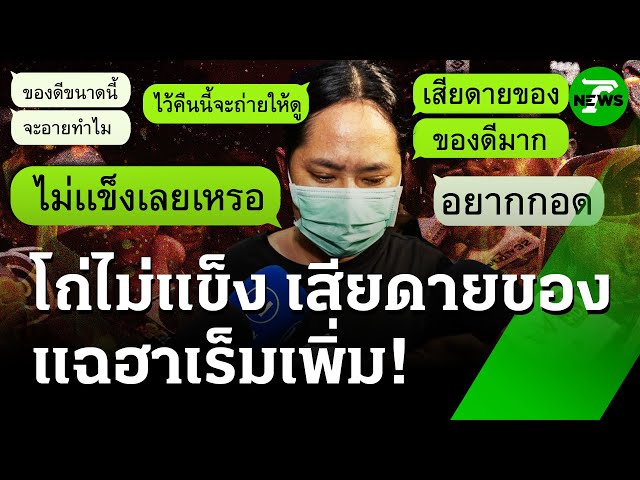 ไม้เด็ด "สีกากอล์ฟ" หยอดคำหวานพิชิตใจพระ | 16 ก.ค. 68 | ข่าวเช้าหัวเขียว