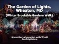 The Garden of Lights - Brookside Gardens Winter Walk, Wheaton, MD, US - Pictures