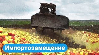 Личное: Нужно ли давить импортные яблоки?