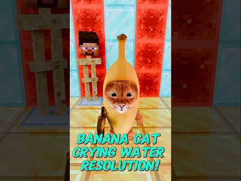 Banana Cat - Sadness Whiny Resolution💧RTX