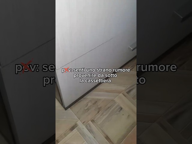 Pov: senti uno strano rumore provenire da sotto il Mobile