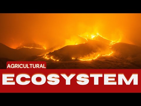 Agricultural Ecosystem | How It Changes Our Environment 🥺❤️ #ecosystem #video #agriculture