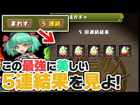 5連機能を試しながらスーパーゴッドフェス引いたら最強の引きをしました【パズドラ】