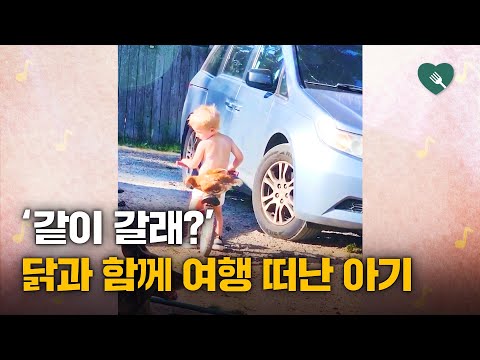 ‘걷기 힘들지…?‘ 자전거 뒷자리에 ‘닭’ 태워준 아이