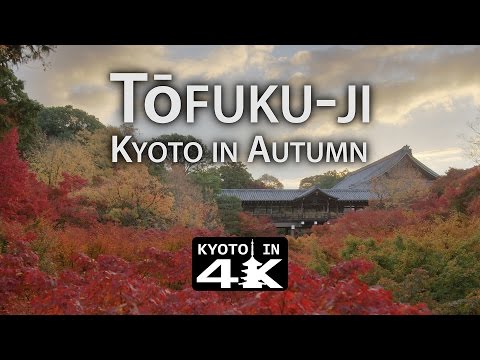 Beautiful Kyoto:  Autumn 2016 T?fuku-ji [4K]
