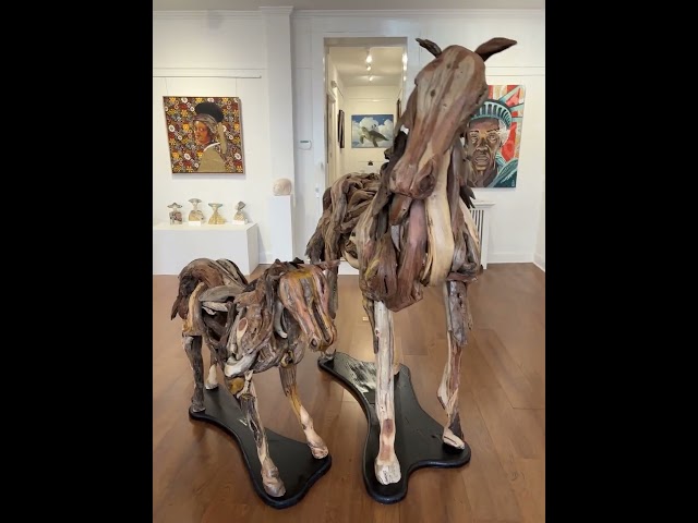 Tom discovers Zebra Gallery!