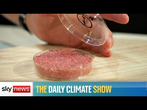 Should we welcome lab-grown meat?