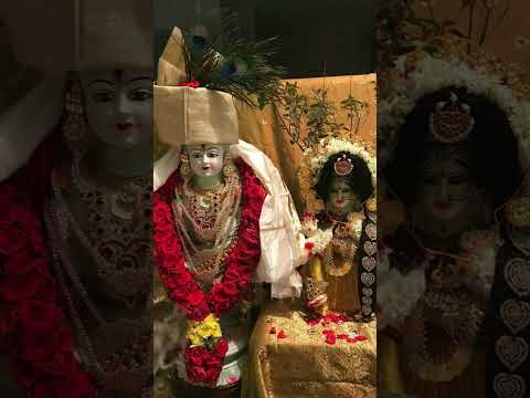 happy tulsi vivah #viral #viralvideo #devotional #motivational