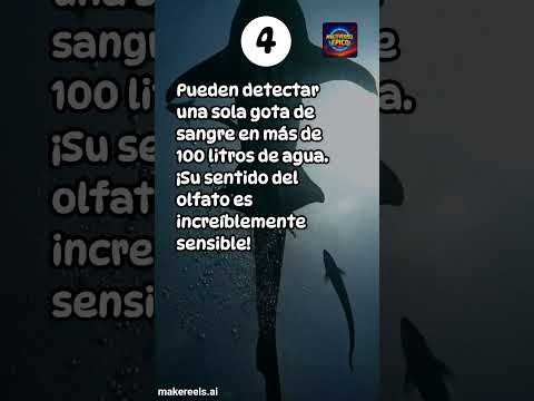 Los tiburones más sanguinarios y peligrosos #shark#ShortsEnEspanol#sabiasque#astronomia#curiosidades