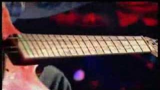 Seasick Steve LIVE ON JOOLS HOLLAND- DOG HOUSE