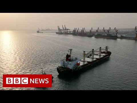 First shipment of wheat out of Ukraine arrives in Africa – BBC News