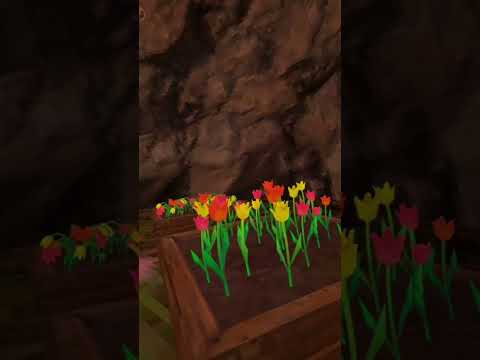 Get oculus tag on applab! #oculustag