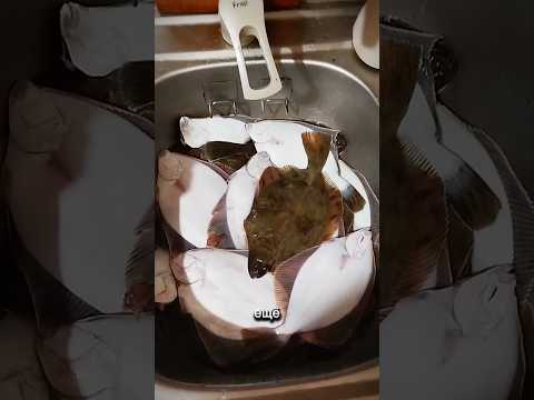 Когда папа уехал на рыбалку 🔥🔥🔥 #михаилволин