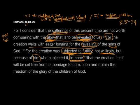 The Freedom of the Glory of the Children of God: Romans 8:18–21