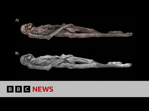 2,500-year-old Siberian ‘ice mummy’ had intricate tattoos, imaging reveals | BBC News