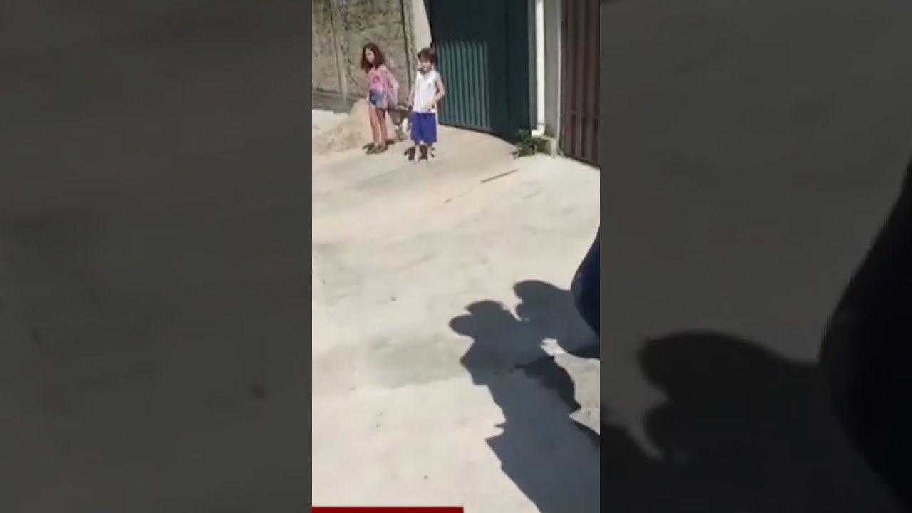 Arma na cara Mulher ameaça vizinha com arma do marido
