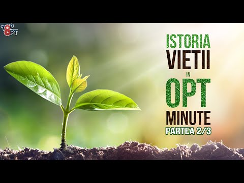 Upload mp3 to YouTube and audio cutter for Istoria VIEŢII în 8 Minute 2/3 download from Youtube