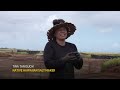 Native Hawaiians Preserve Sacred Salt Patch  - 03:45 min - News - Video
