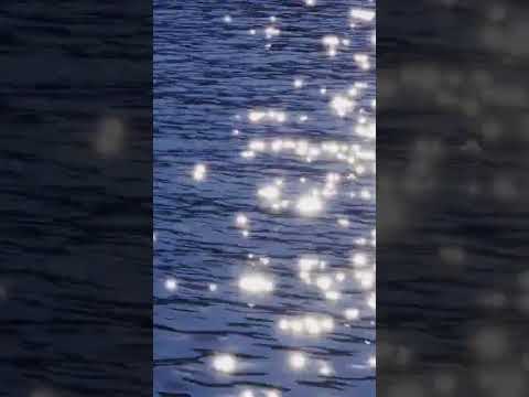 #JusticeForZubeenGarg