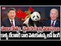 పాండాలు అమెరికా చైనాను కలపగలవా ? | China Makes Panda Diplomacy with America | hmtv