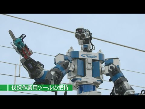 Japan deploys humanoid robot for railway maintenance | AFP