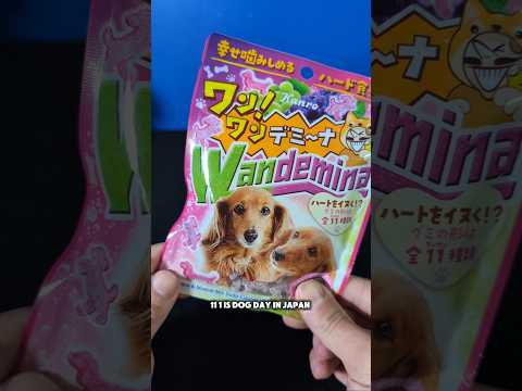Japan's Dog Day has Snacks 🇯🇵