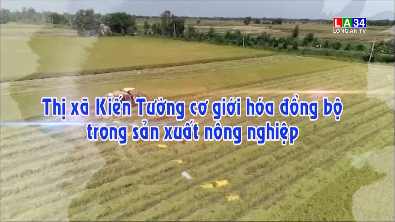 Kết nối - Phát triển: Thị xã Kiến Tường cơ giới hóa đồng bộ trong sản xuất nông nghiệp