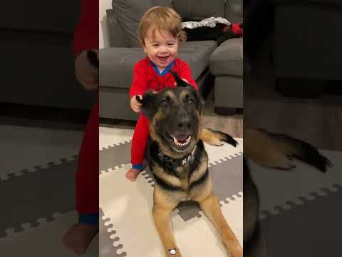 Phillies land All-Star closer Jhoan Duran ahead of MLB trade deadline 👀🔥 #JhoanDuran