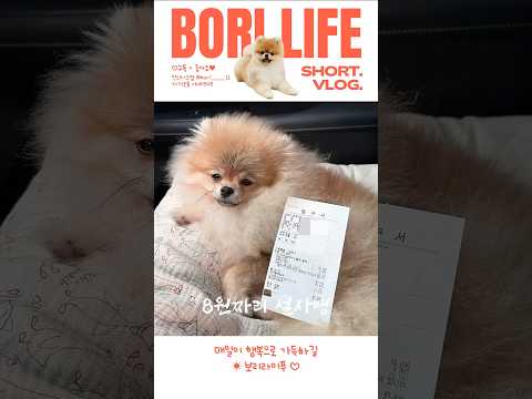 동꼬가 아픈거 같아..